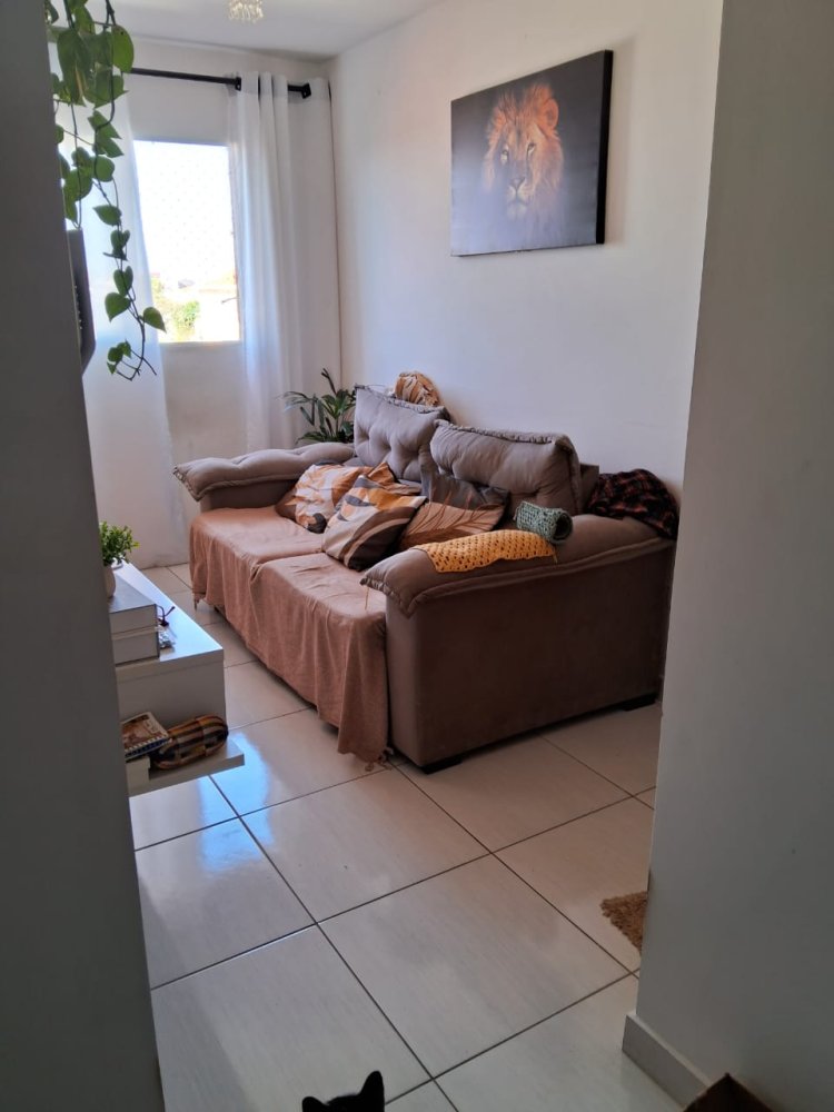 Apartamento - Venda - Bairro do Limão - São Paulo - SP